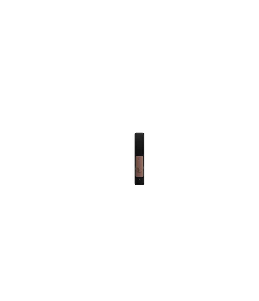 Aqara Smart Lock D200i