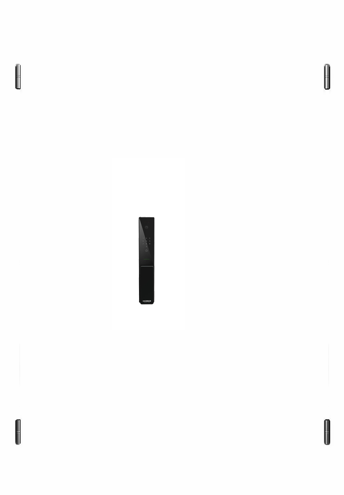Hogo-V7